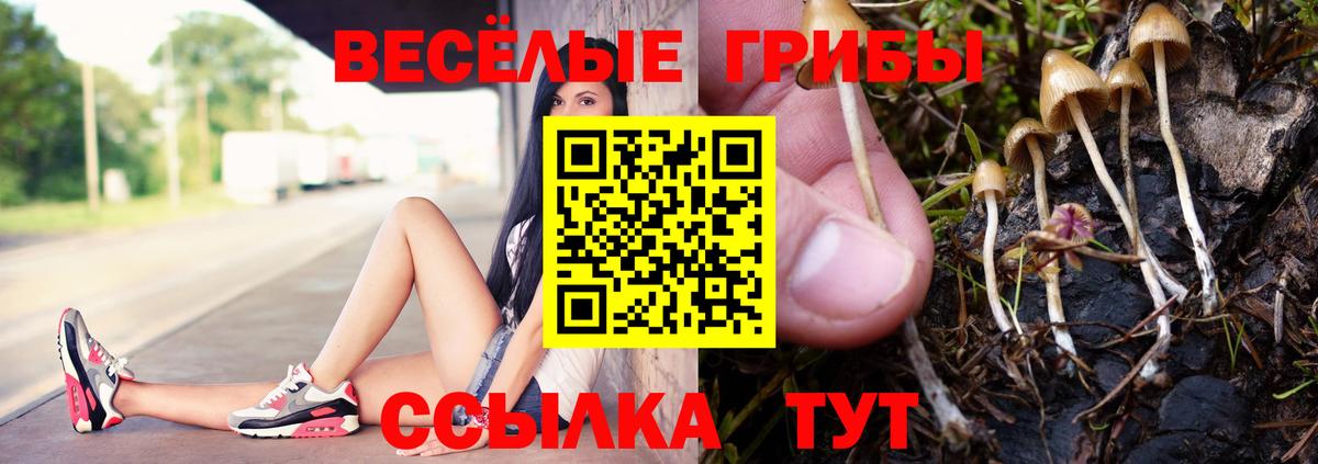 Ливны  Галлюциногенные грибы ЛСД  Вход с VPN  Псилоцибиновые грибы MAGIC MUSHROOMS 