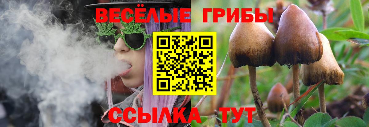 Псилоцибиновые грибы MAGIC MUSHROOMS Ливны